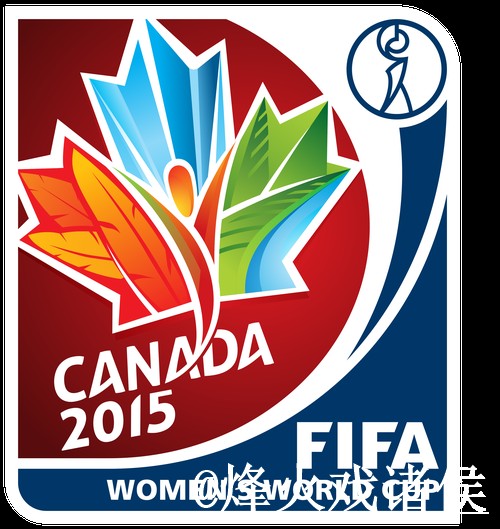 世界杯买球官网官方平台详解与攻略